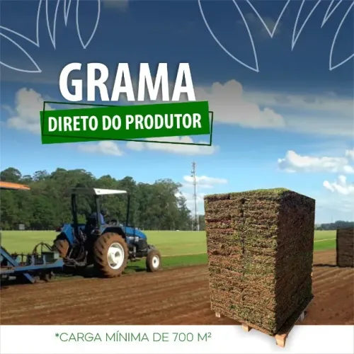 Grama Esmeralda Batatais São Carlos