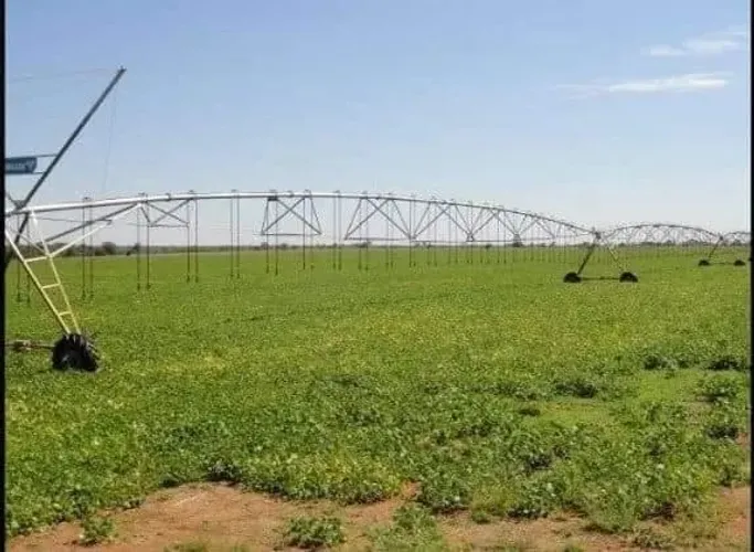 Fazenda a venda  em  - Jussara - Goiás