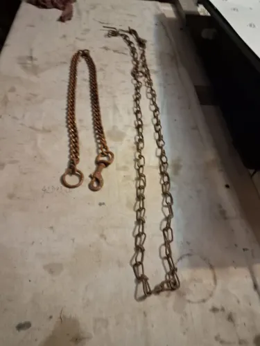 Corrente para pet 2 unidades 