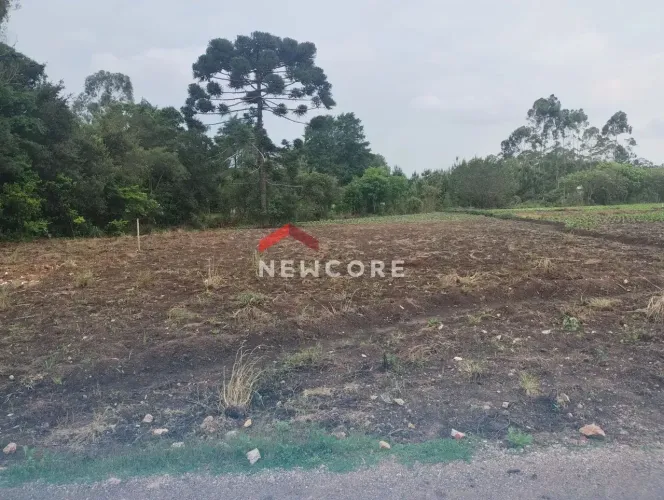 Chácara em Rua Joaquim Alves Fontes - Colônia Murici - São José dos Pinhais/PR
