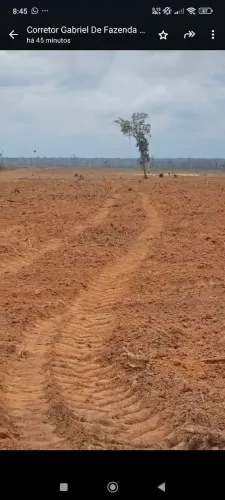 Fazenda arrendamento 2300hec em itanhangá MT. 2 anos carência