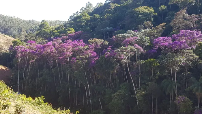 Sítio em  Santa Teresa, ES