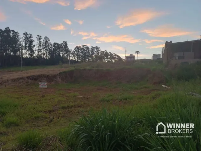 Terreno à venda, 400 m² por R$ 136.500,00 - Jardim Colombo - Maringá/PR