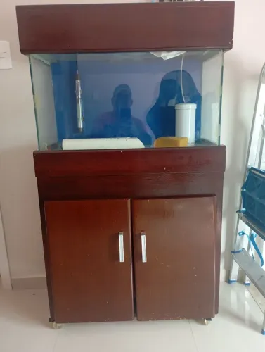 Aquário completo 80 litros