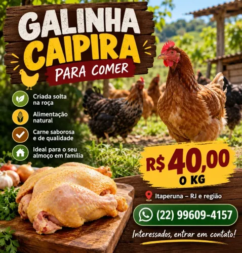 GALINHA CAIPIRA PARA COMER ? R$ 40,00/KG