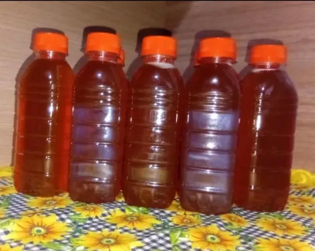 Mel de abelha Europa 