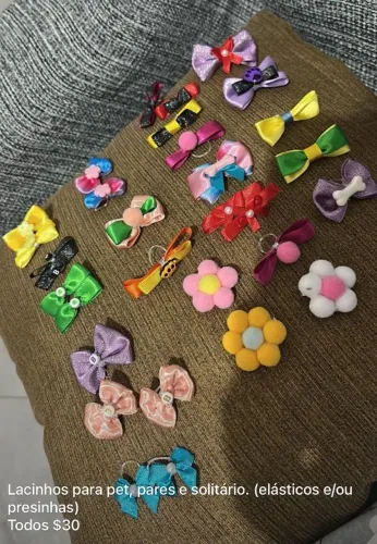 Itens para pet