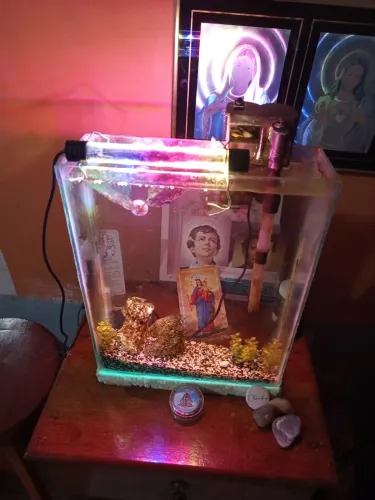 Aquário pequeno