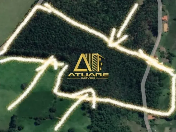 Terreno com 64.000m² na cidade de Silvianópolis/MG. Contêm, de 10 a 12 mil pés de eucalipt