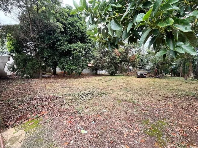 TERRENO,0 Dormitorio(s) bairro Olímpia