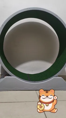 Roda de gato