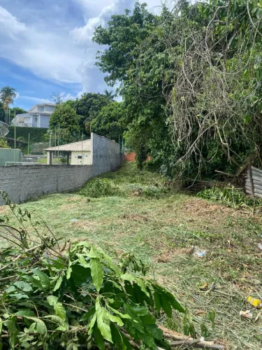 Terreno Rio da Prata (Lameirão Pequeno)