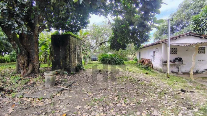 Terreno comercial ou residencial de 5.282m² à venda, localizado em Chã de Onça, Paudalho -