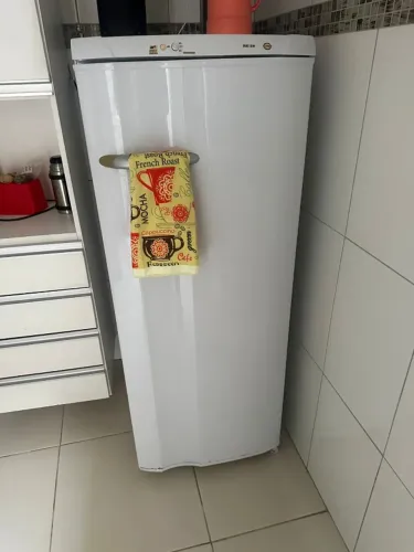 Geladeira Electrolux RE28 (240 Litros)