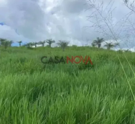 Fazenda com 450 tarefas em Simão Dias