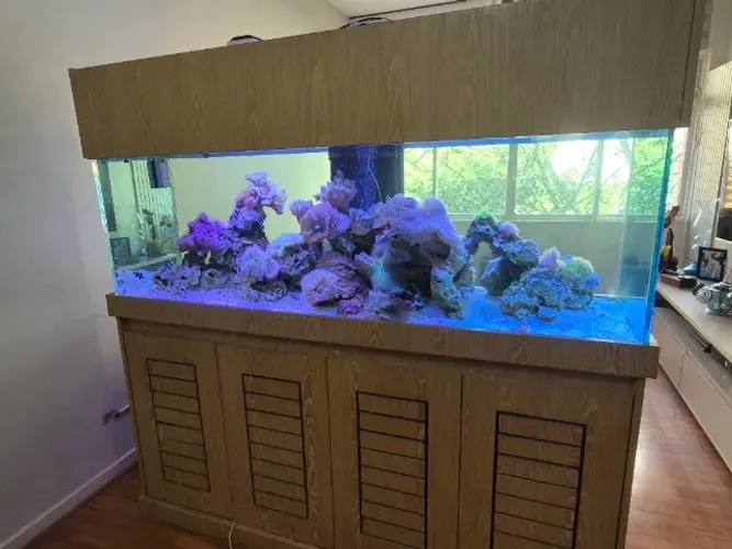 Aquário Marinho 800 l Completo