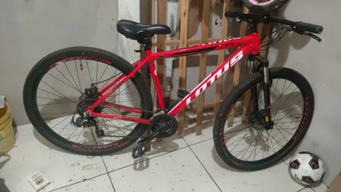 bike aro 29