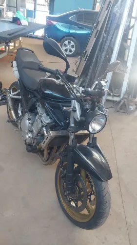 Vendo ou troco por carro. camionete. Garrotes, vacas e etc...