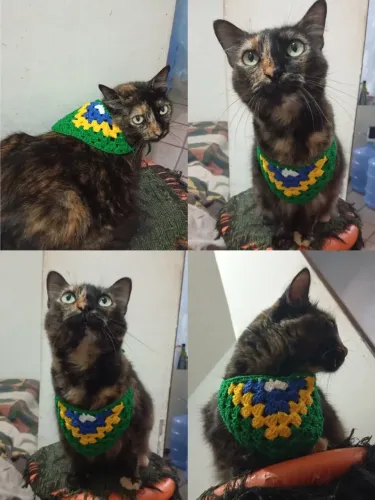 Bandana para pet em crochê 
