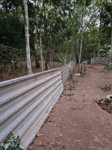 Telhas de Zinco usadas