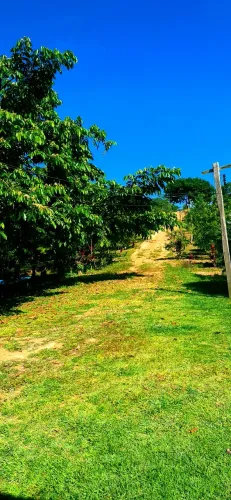 SÍTIO RIO PRETO DA EVA KM91
