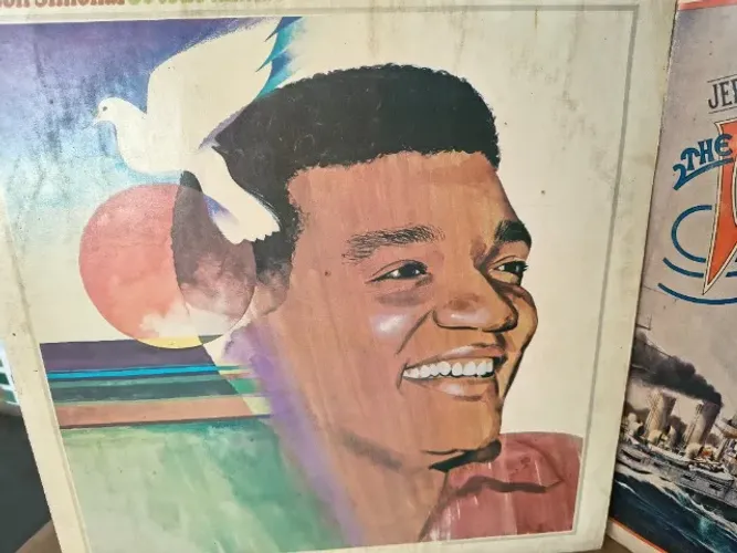 DISCOS DE VINIL WILSON SIMONAL E OUTROS