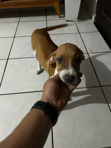 Para doação