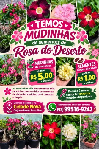 Flores