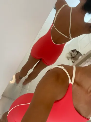 Macaquinho academia Loca Livre