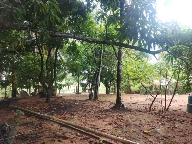 vende-se excelente ilha próximo a cajazeiras com estrutura casa $200.000,00 act carro