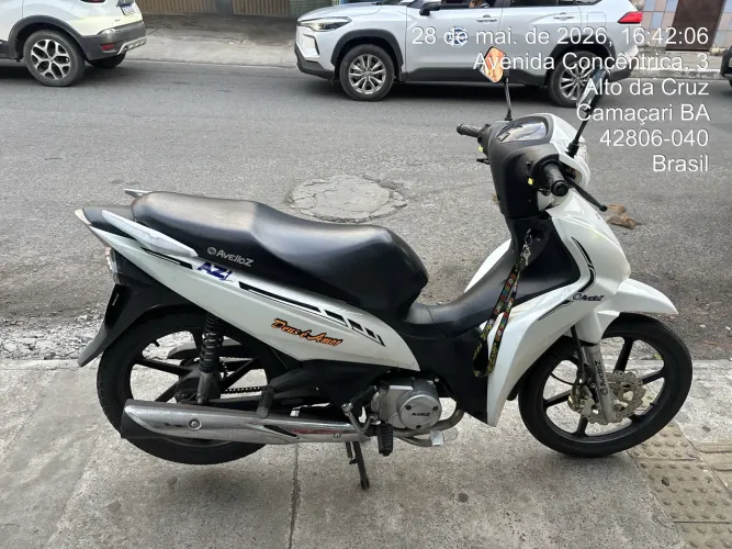 Aveloz 50 az 1