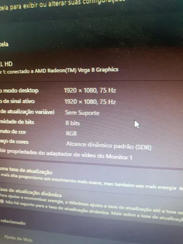 Monitor LG FULL HD 75 HZ + Suporte