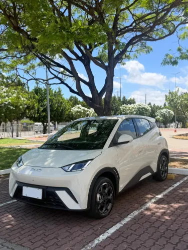 BYD Dolphin Mini (Elétrico) 2027