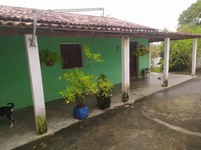 Sitio com casa e árvores frutíferas