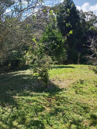 Chacara 