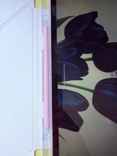 tab s6 LITE