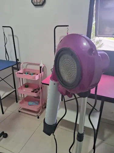 SECADOR KIKLON MAGNO PROFISSIONAL ROSA
