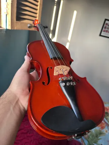 Violino Michael 4/4 Completo + Case Luxo com Higrômetro e Espaleira - Ótimo Estado