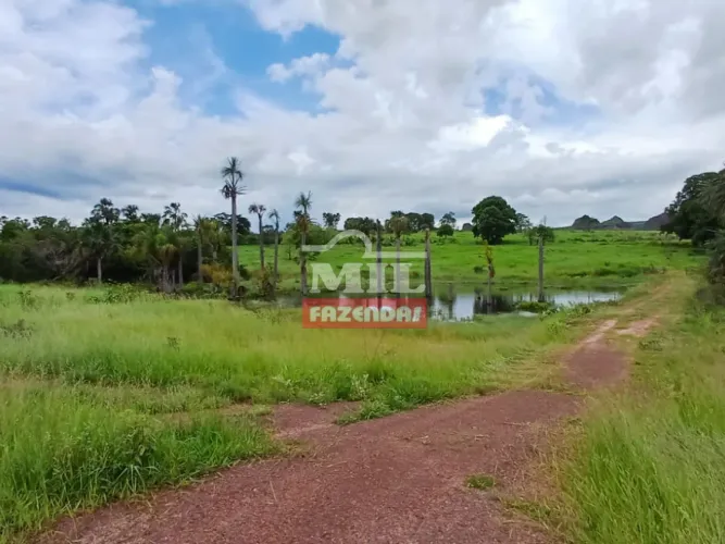 Fazenda 265 Alqueires (1.282 Hectares) Guiratinga - MT