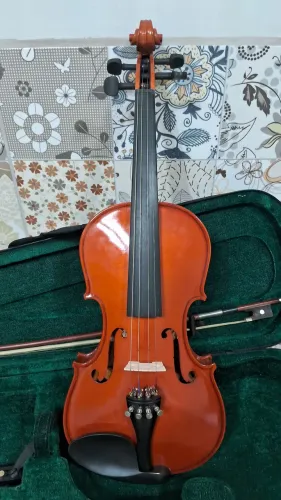 Violino Michael VNM40 4/4 completo com acessórios 