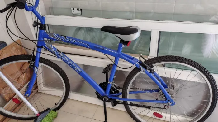 Bicicleta adulto