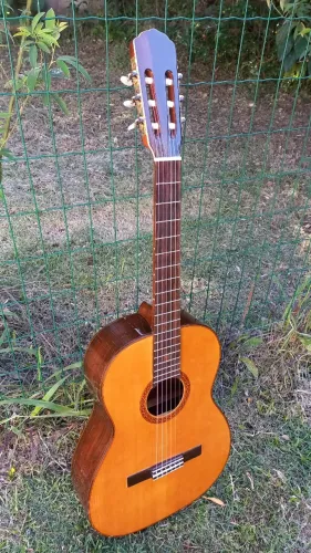 Violão Giannini 1978 Awn C1 Sávio Original
