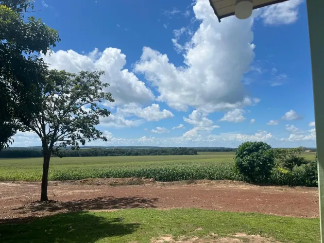 Fazenda Sinop 10 anos pra pagar 3.840hc plant. 2.210hec R$:1.200 sacas p/hec área aberta