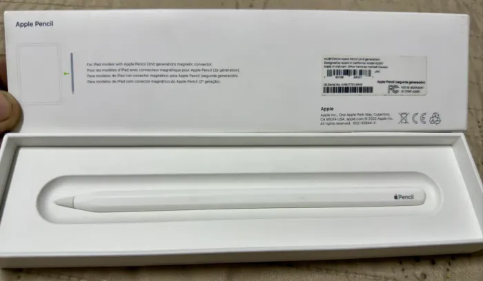 Apple Pencil 2ª geração 