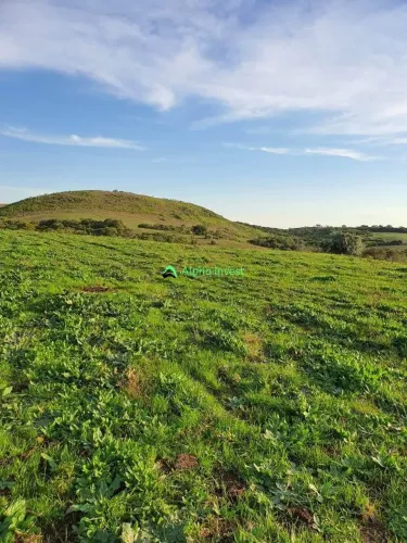 Oportunidade Exclusiva Área de 300 ha em Santa Margarida do Sul