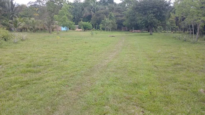 Vende-se sítio em Bragança