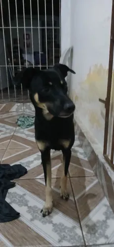 Doação responsável 