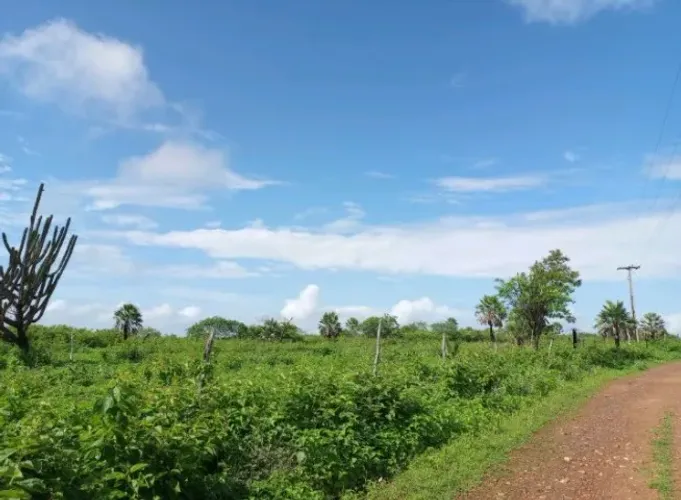 Terreno grande na zona rural divisa Pentecoste/Maranguape