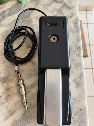 Pedal de Sustain DP-10 ROLAND