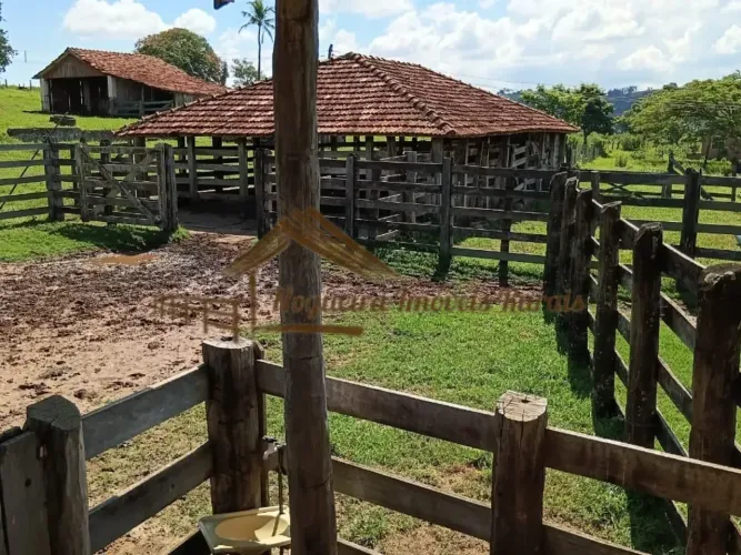 Fazenda com 204 alqueires em Vera Cruz-SP